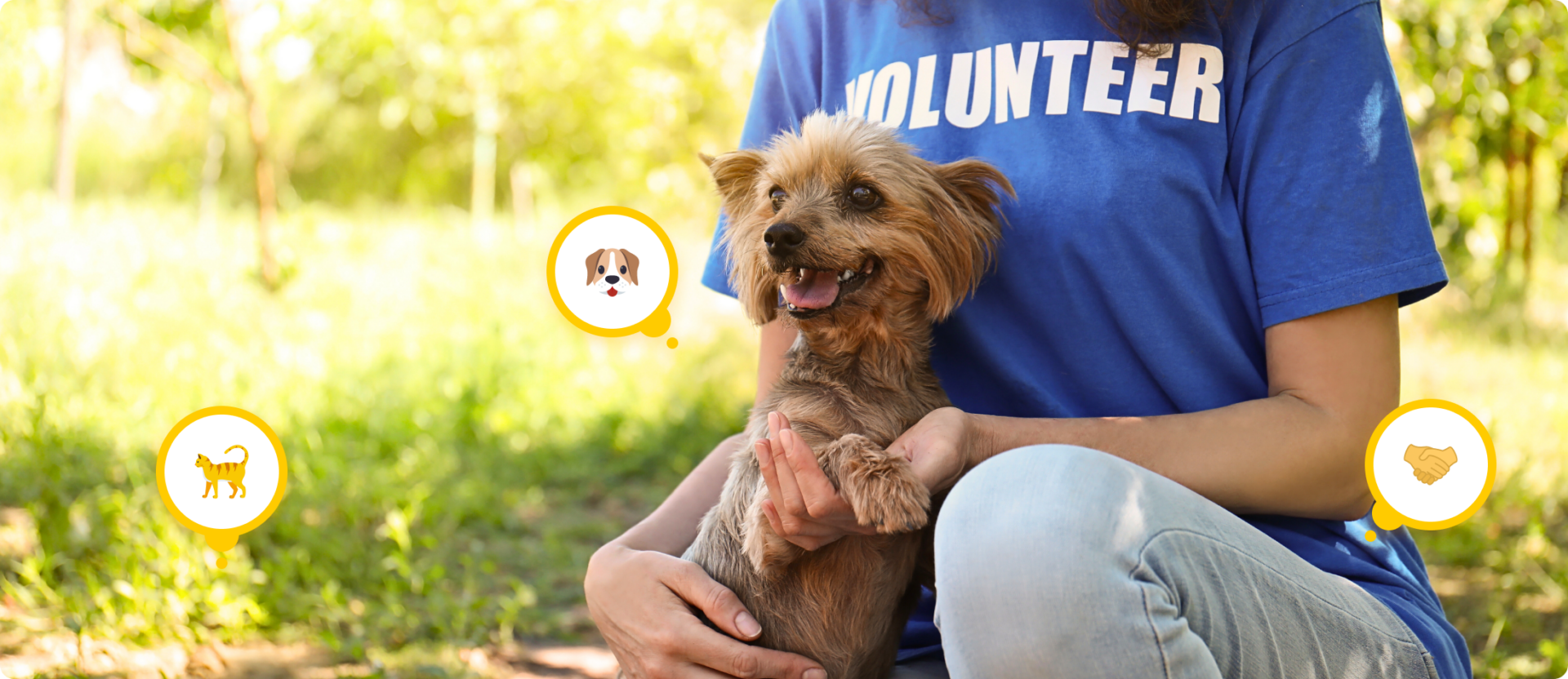 Volunteering at an Animal Shelter: Why and How to Volunteer for Animals in Your Local Community