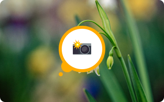 Spring Photography: Capturing the Beauty of Nature with YouMap