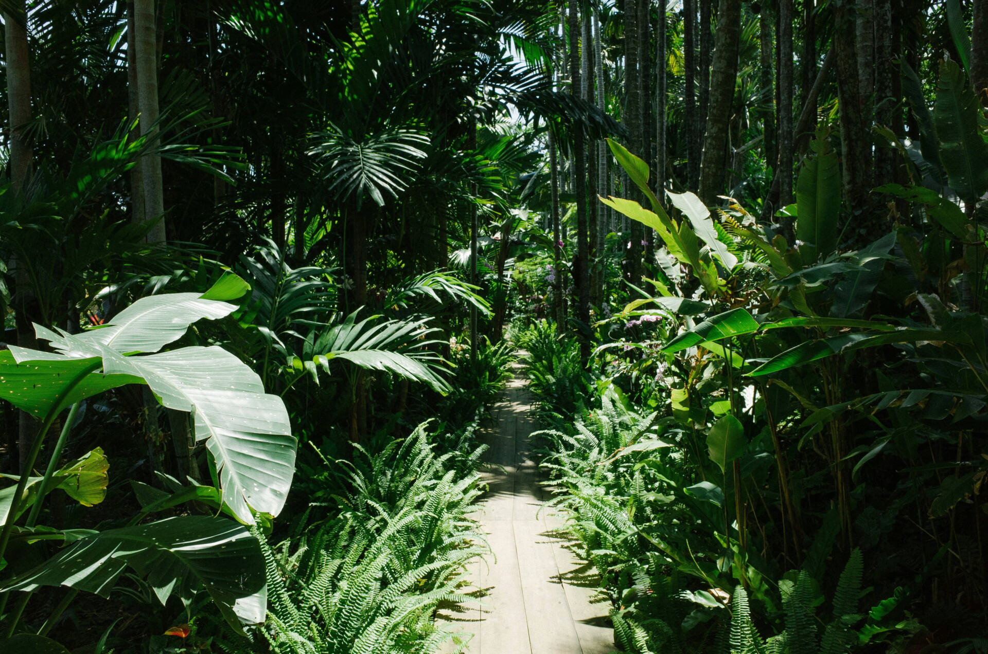 most beautiful botanical gardens in the world